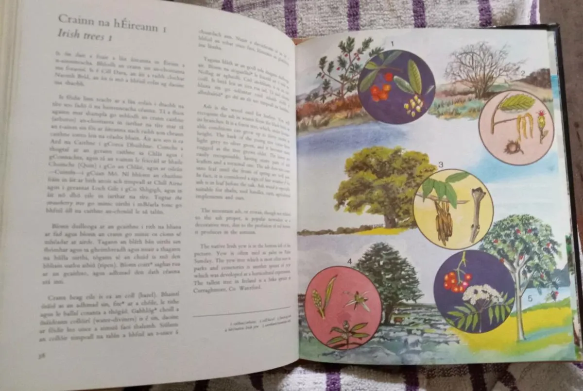 Dúlra Agus Duchas Vintage Book 1979 - Image 4