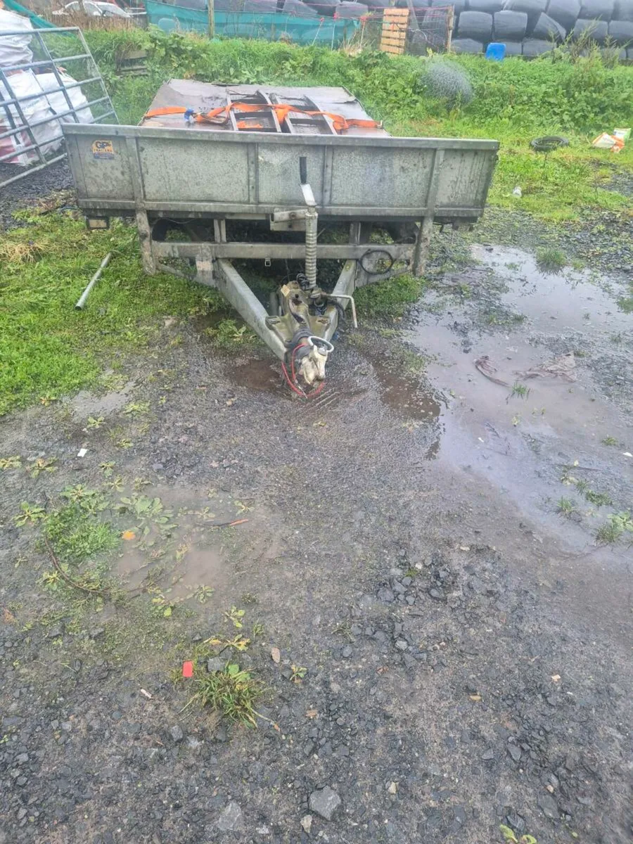 Ifor william 16ft trailer - Image 3