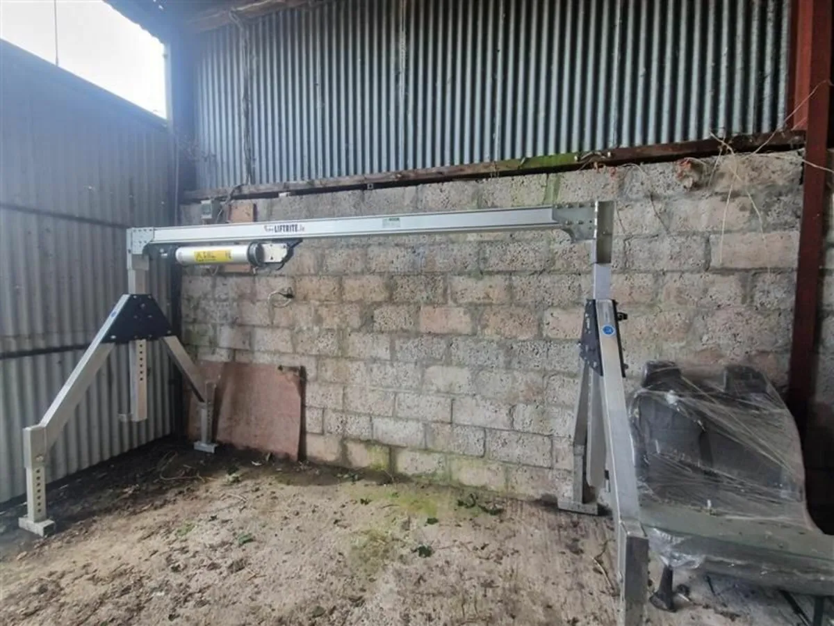 3MT Liftrite Gantry Lift - Image 1