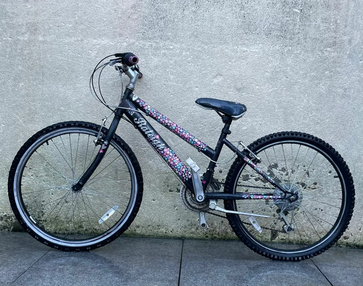 24" girls bicycle - Image 2