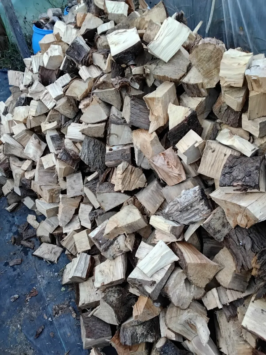 Firewood - Image 1