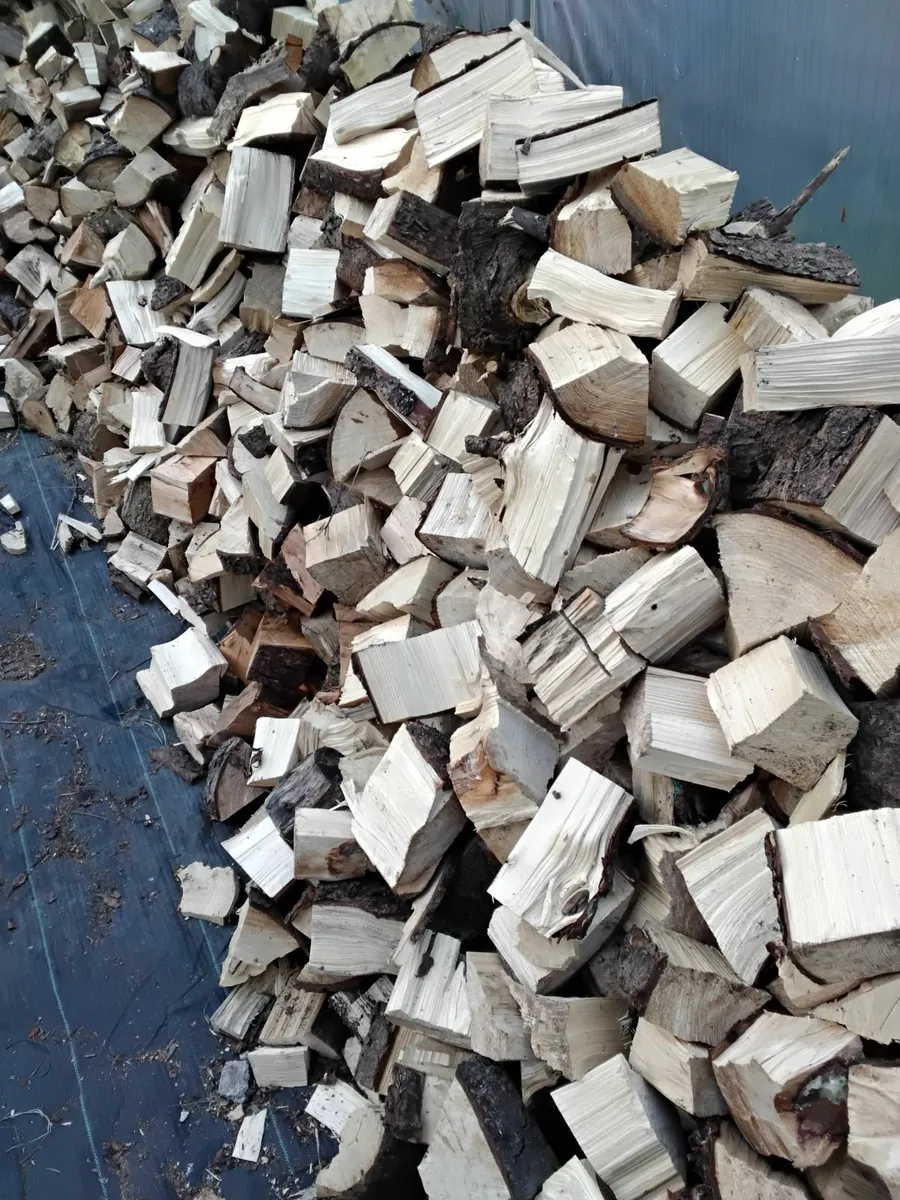 Firewood - Image 2