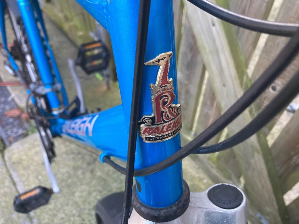 Raleigh Stonefly bike '90s - Image 3