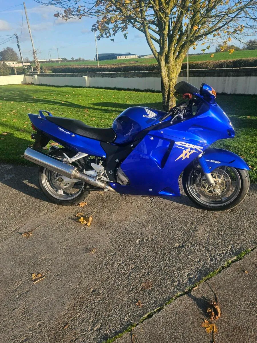 2003 honda blackbird cbr1100xx - Image 1