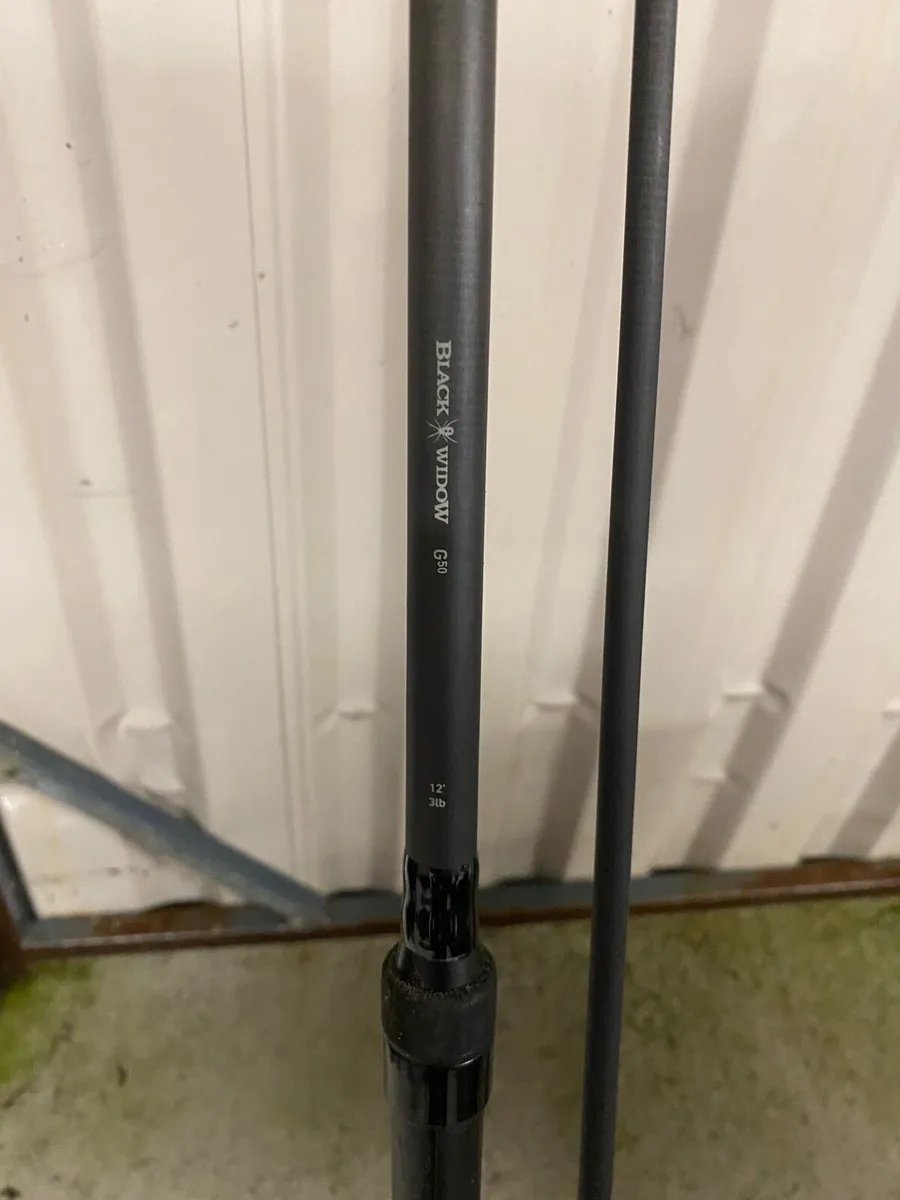 Pike Deadbait Rods, Baitrunner Reel, Bite Alarms - Image 2