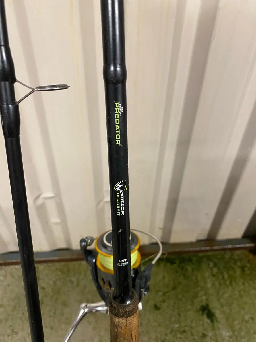 Pike Deadbait Rods, Baitrunner Reel, Bite Alarms - Image 3