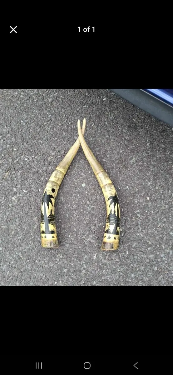 Pair of unusual horns possible to post
