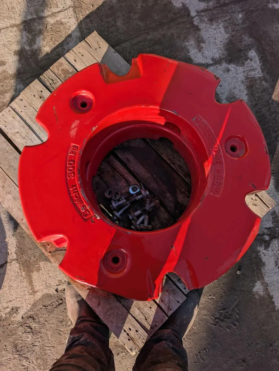 Fendt rear weights - Image 4