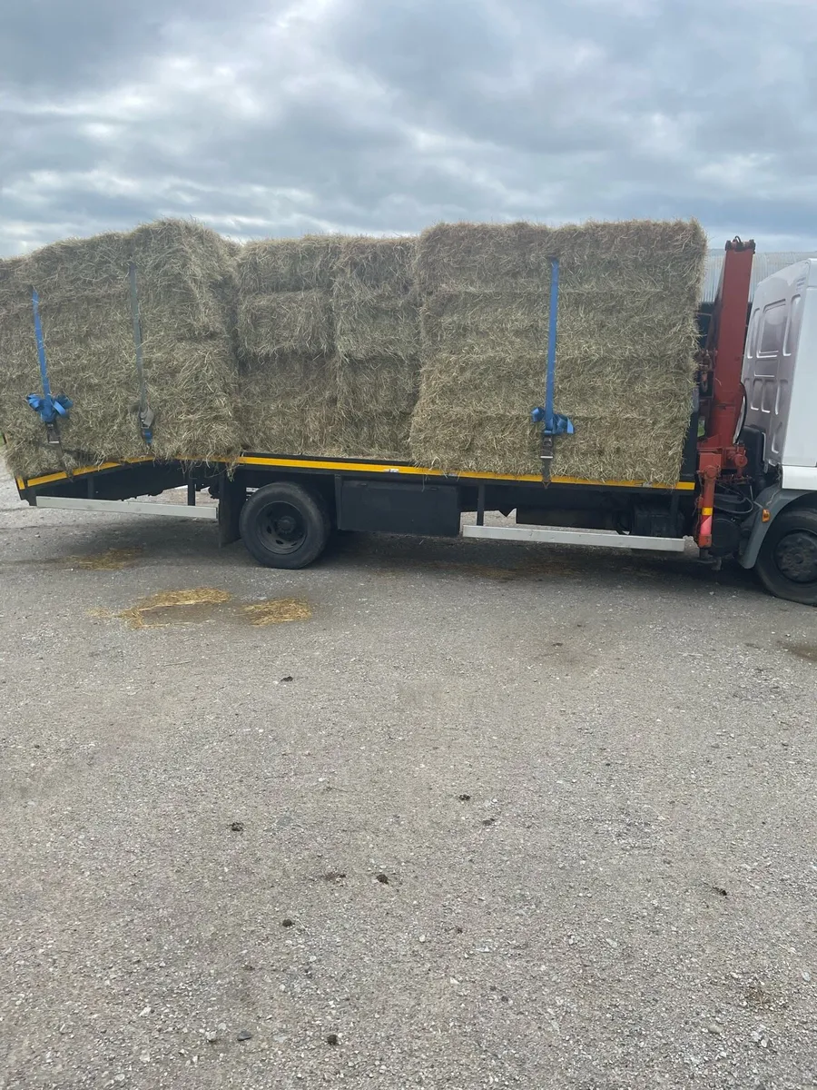 Race horse hay - Image 4