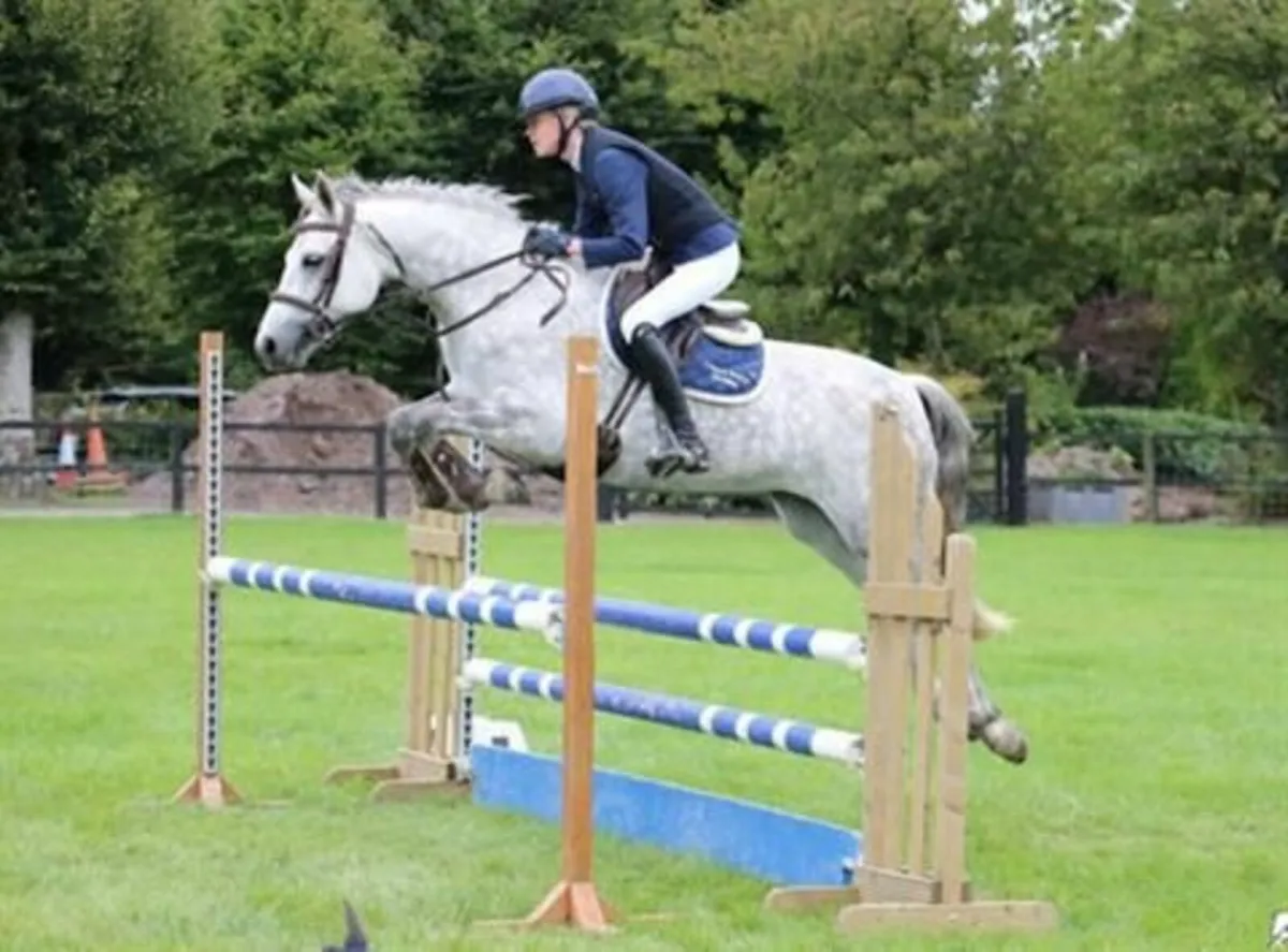 🌟 Top Potential 148cm Connemara 🌟 - Image 1