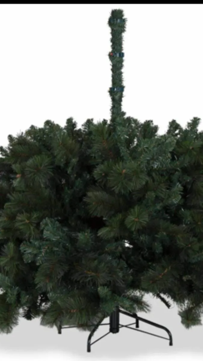 Sherwood Christmas Tree - Image 4