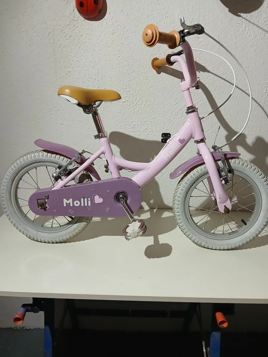 Raleigh Molly Girls Bicycle - Image 4