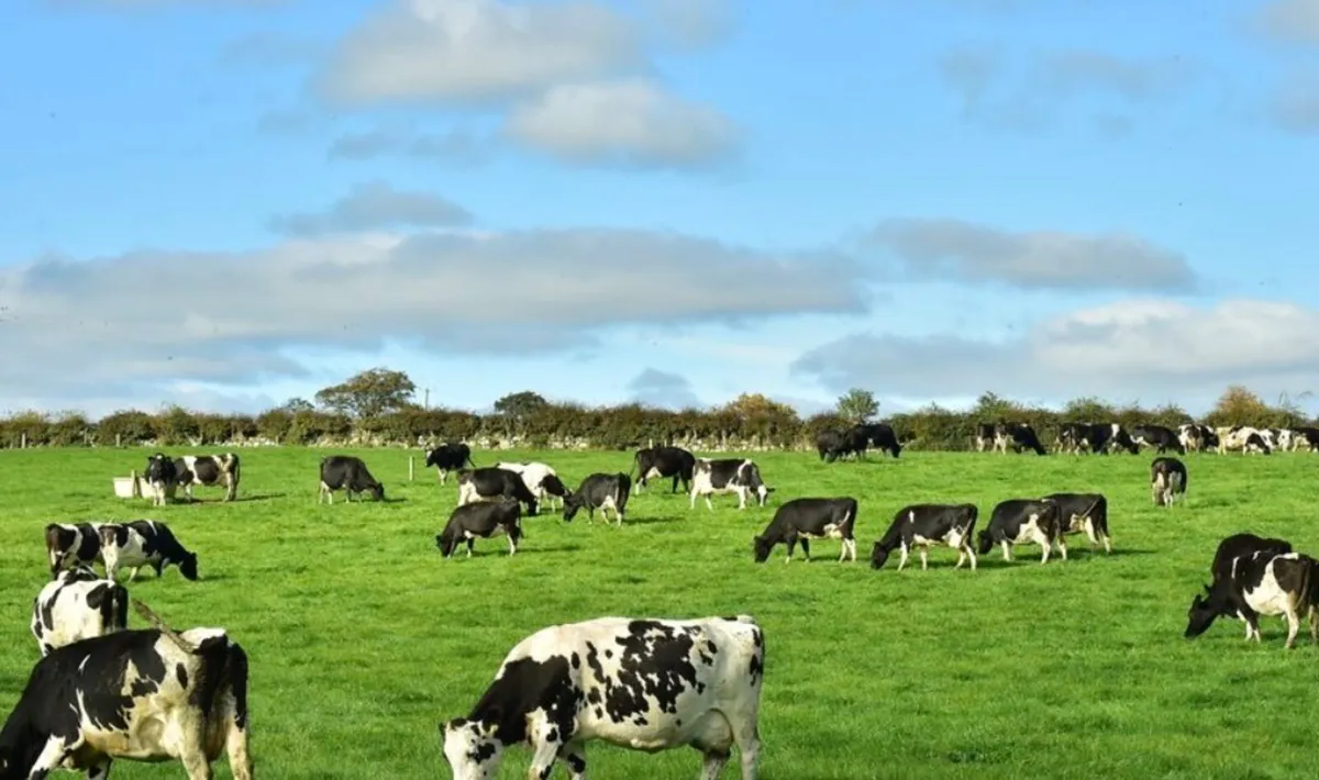 Wanted Dairy Farm Worker