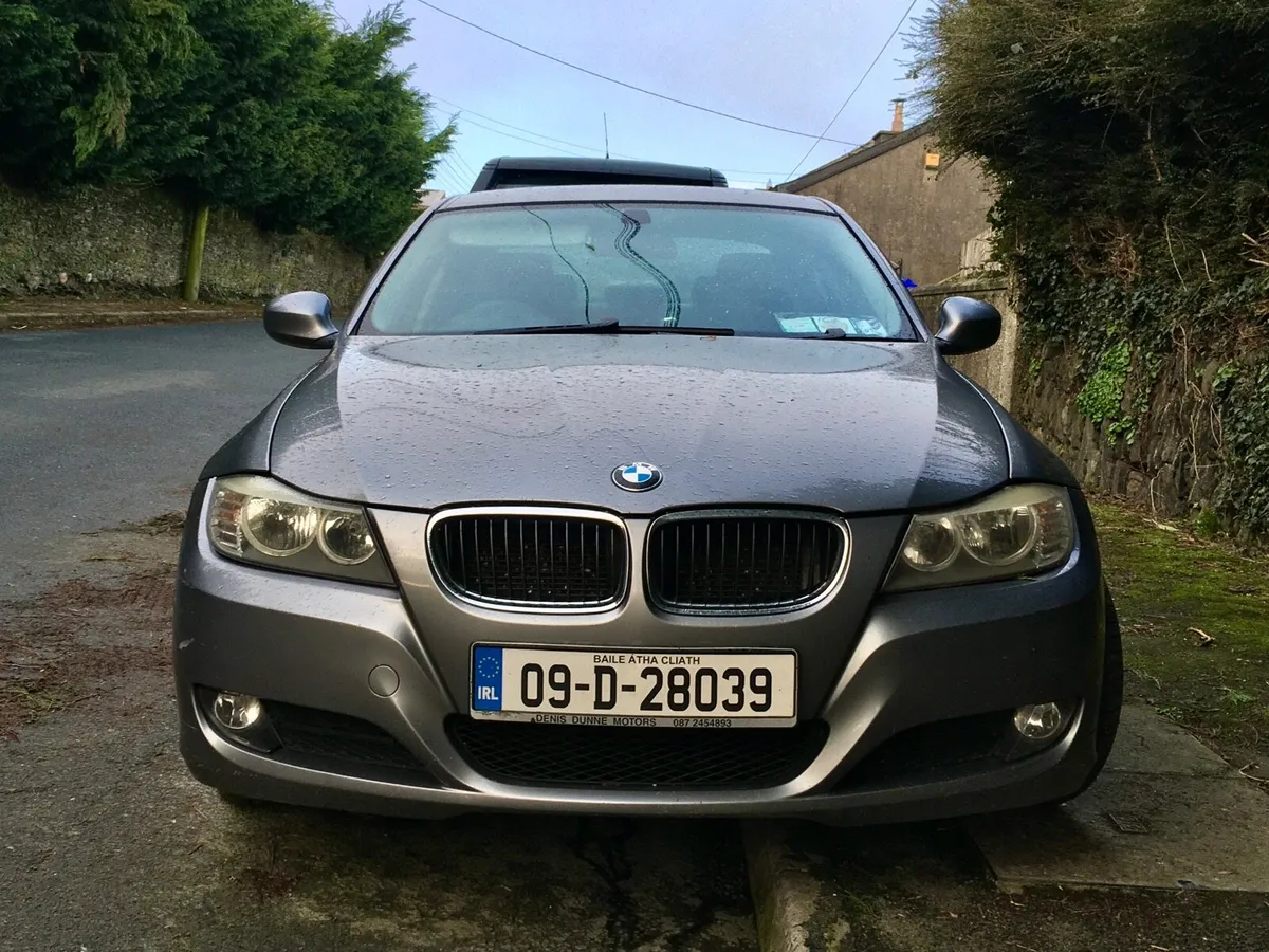 2009 BMW 318d - Image 1
