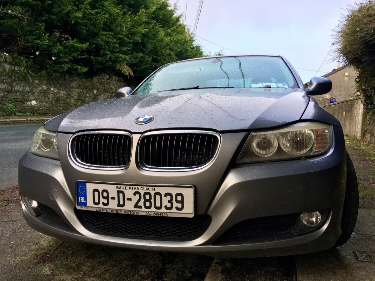 2009 BMW 318d - Image 2