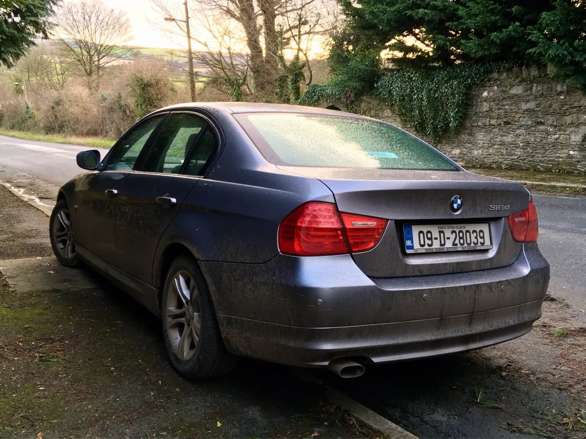 2009 BMW 318d - Image 4