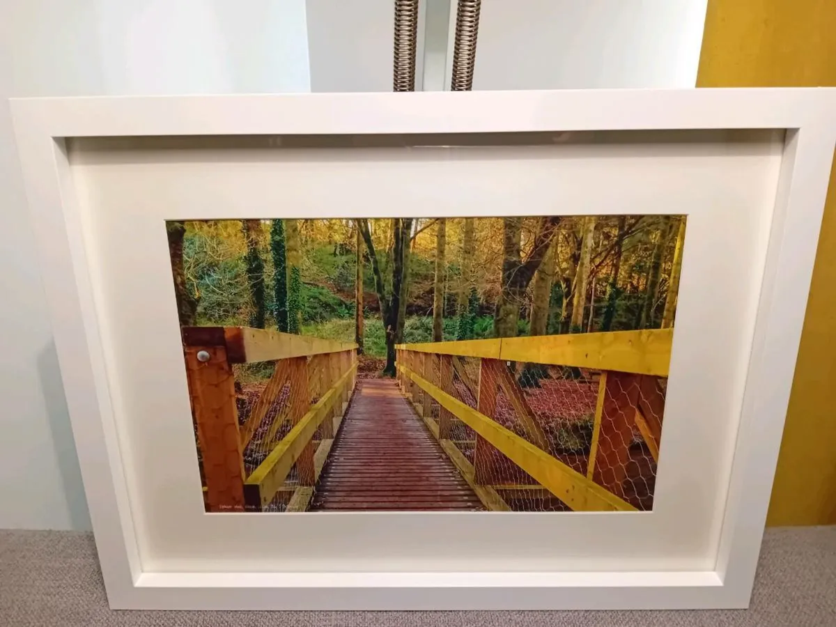 Glenbower Woods, Killeagh - Image 4