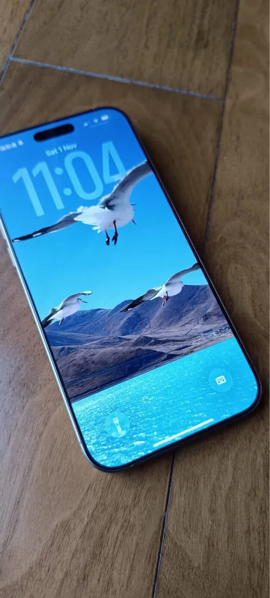 iPhone 16 pro max 256 battery 100% Apple warranty - Image 1