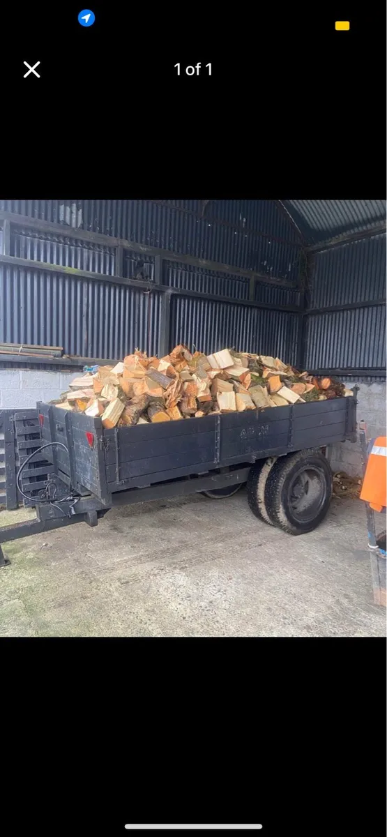 🔹 Firewood 🔹 - Image 3