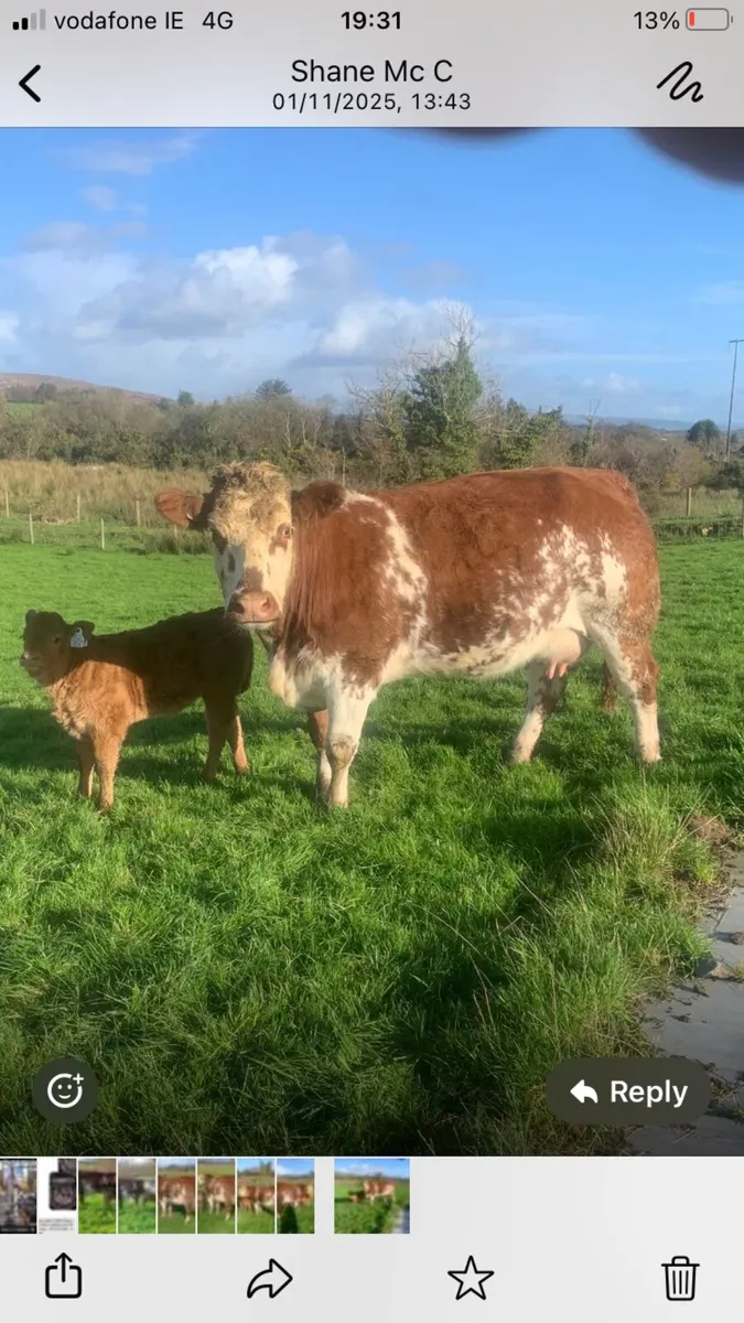 Dowra mart Wednesday 5th November - Image 1