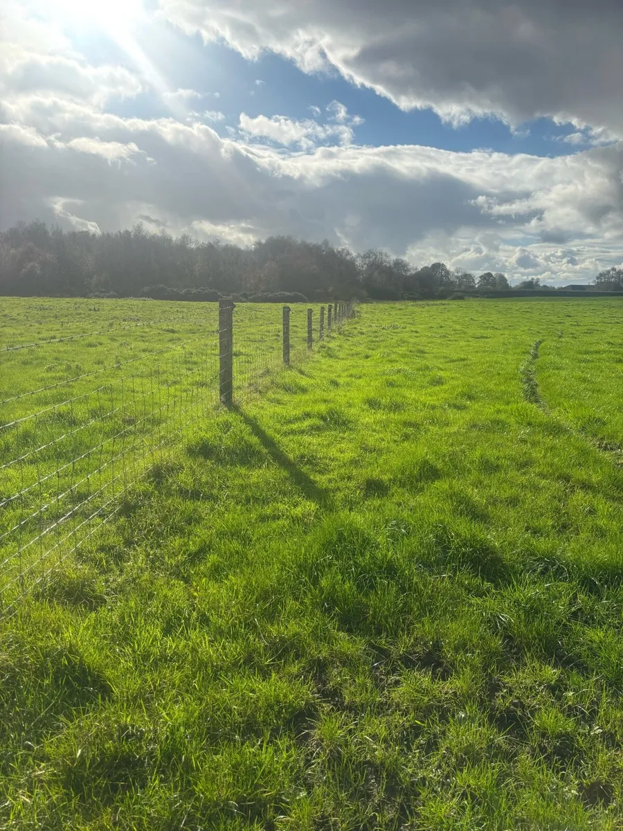 Fencing service - Image 3