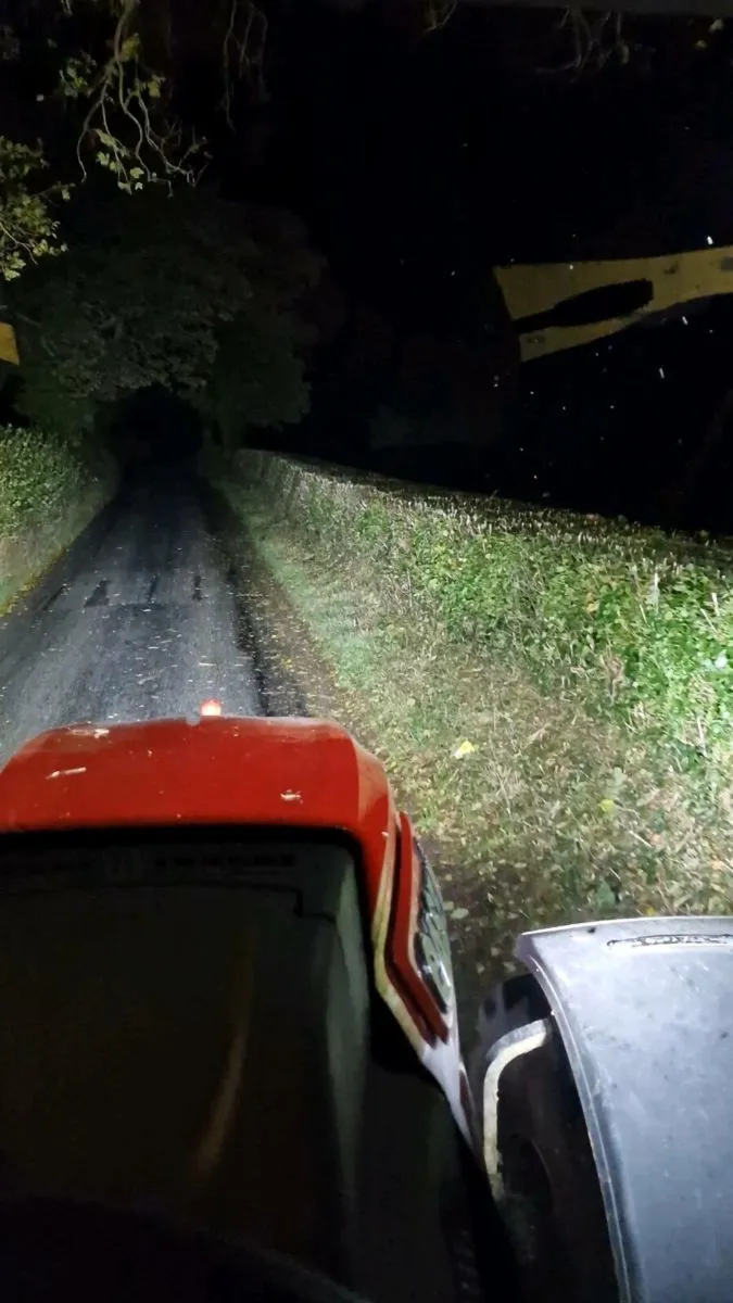 Hedgecutting - Image 3