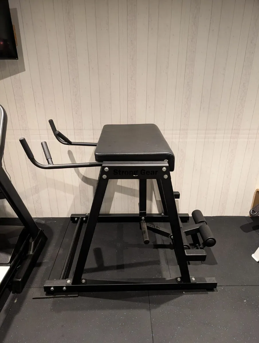 Reverse hyper - Image 1