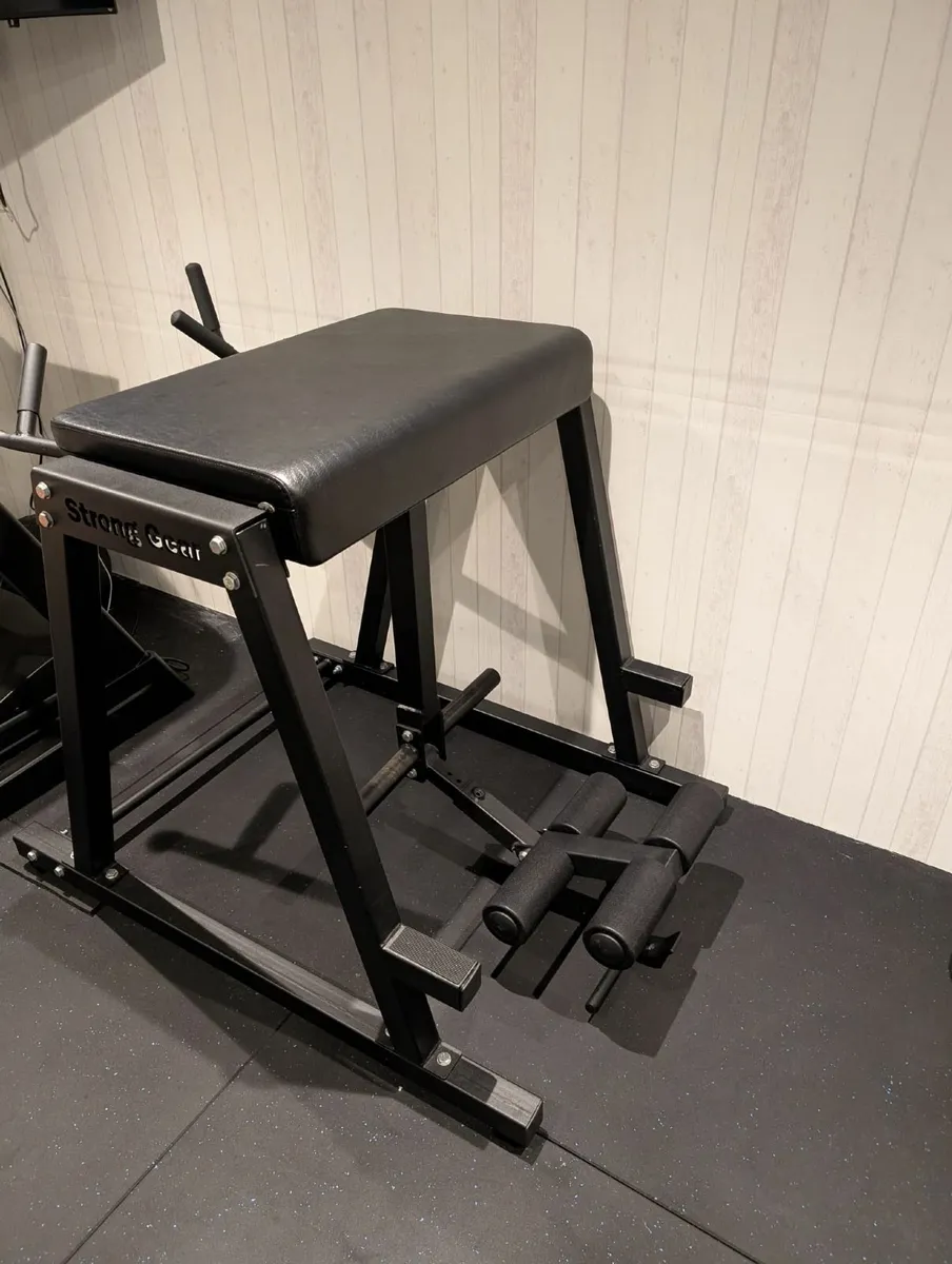 Reverse hyper - Image 2