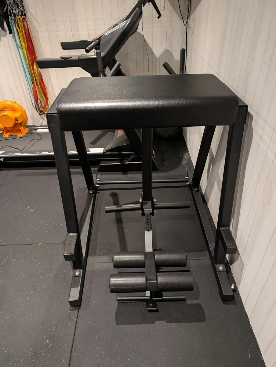 Reverse hyper - Image 3