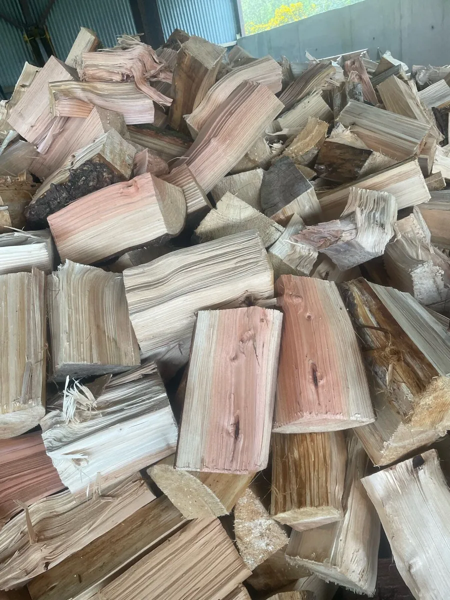 Firewood - Image 1