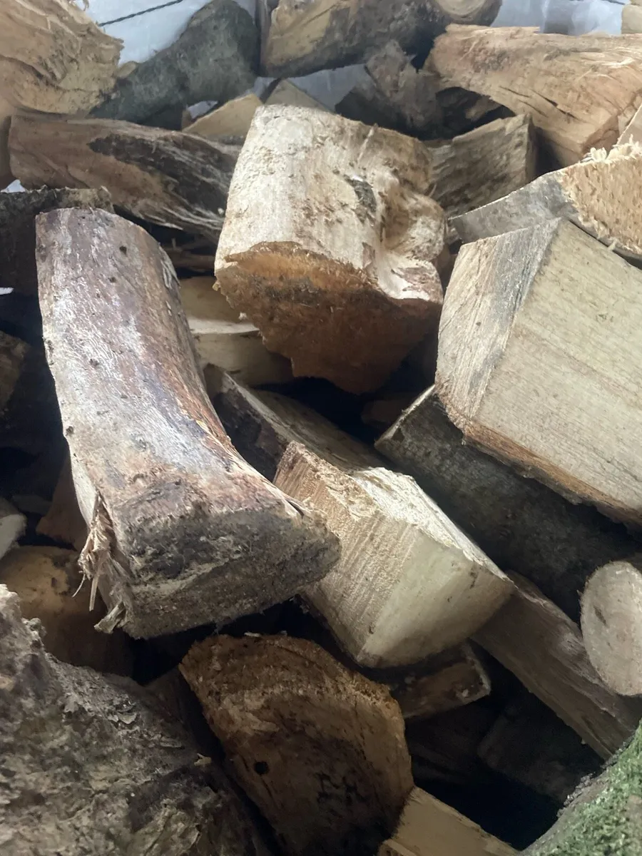 Firewood - Image 4