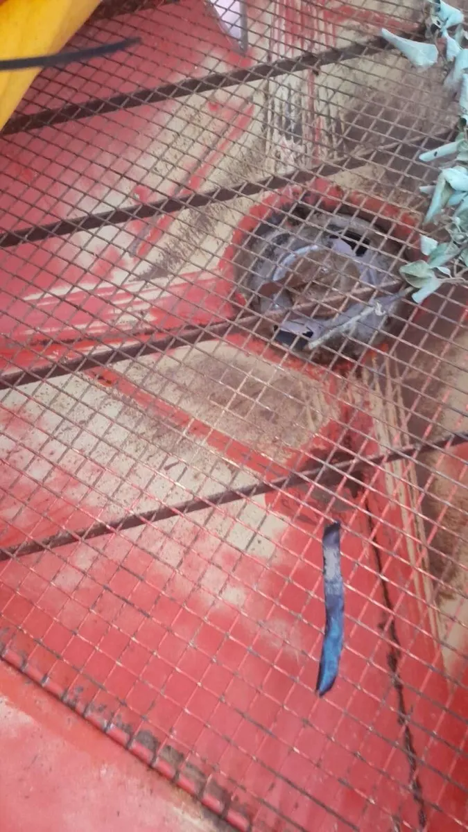 Kuhn sower - Image 3