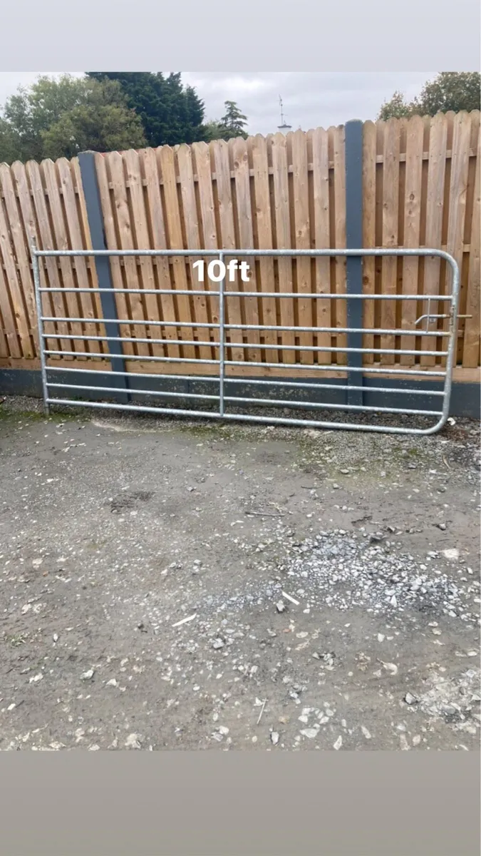 Selection of farm gates, 6 gates job lot - Image 4