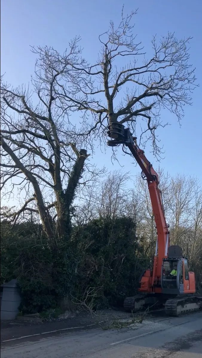 Hitachi ZX225-1 Grab Saw piped - Image 4