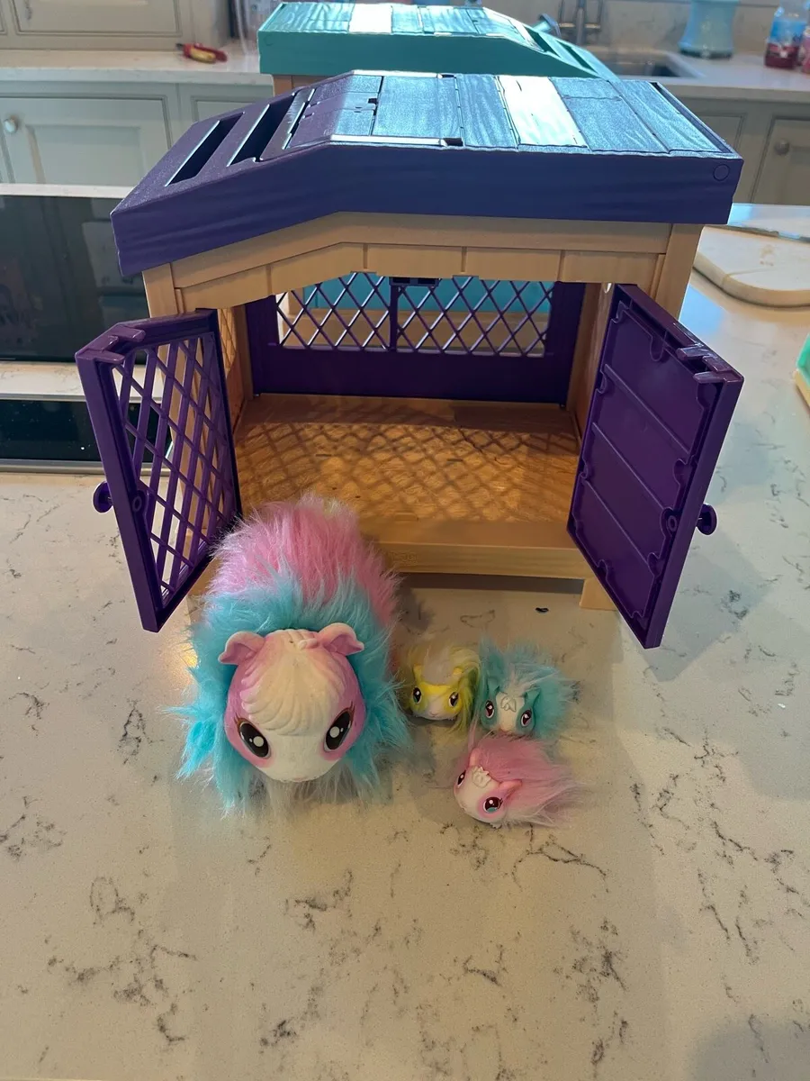 Little Live Pets Rainbow Guinea Pigs