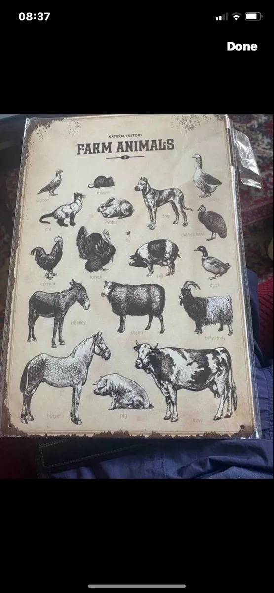 Metal Farm Animals Sign - Image 1