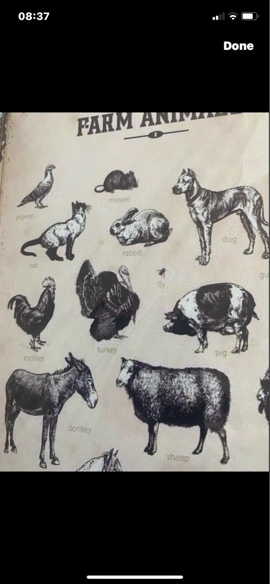 Metal Farm Animals Sign - Image 2