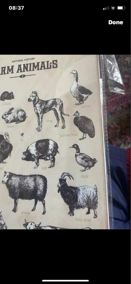 Metal Farm Animals Sign - Image 3