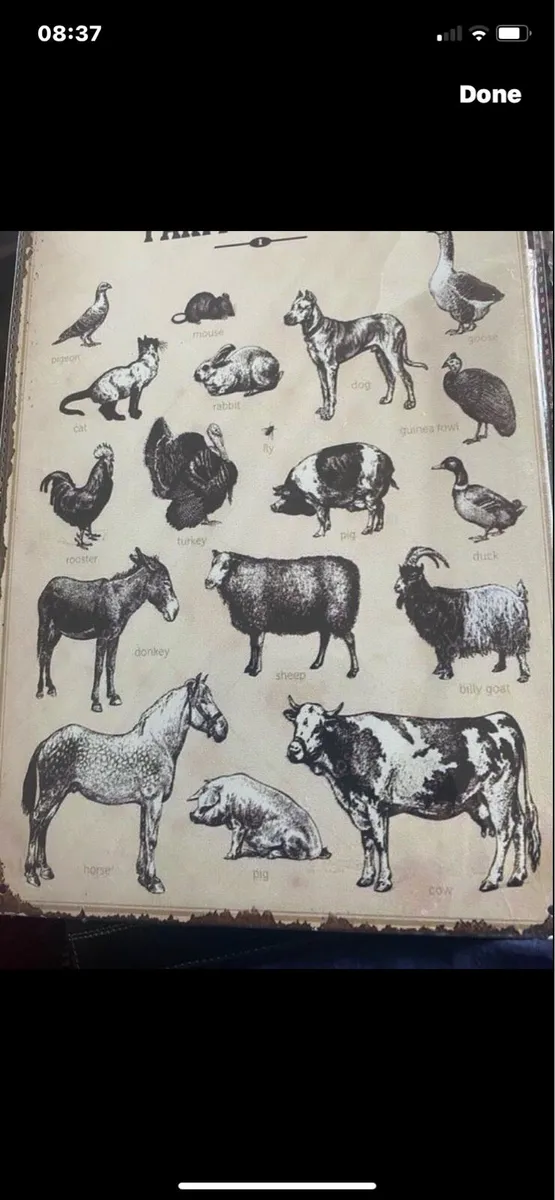 Metal Farm Animals Sign - Image 4