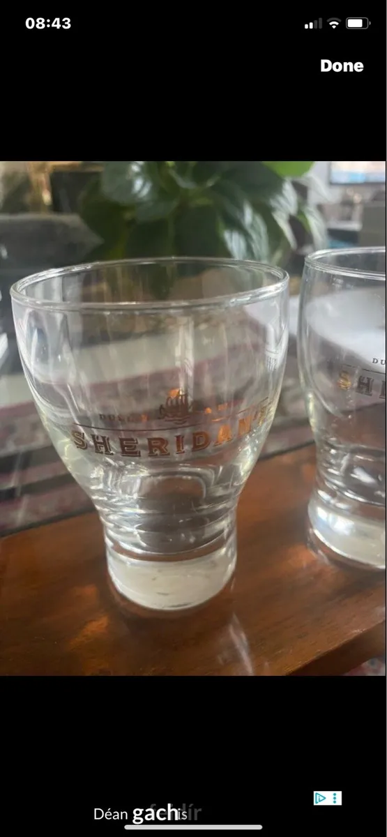 Sheridan’s Liqueur Glasses (2) - Image 2