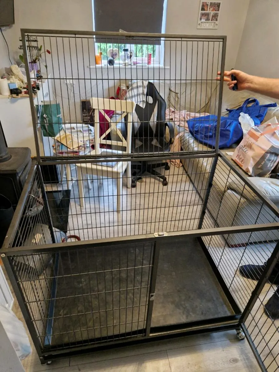 XL Dog Crate - Image 1