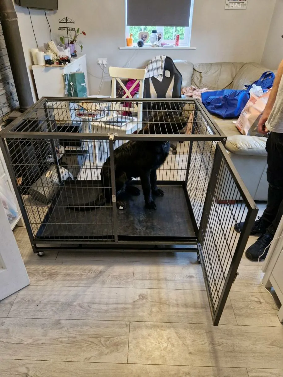 XL Dog Crate - Image 2