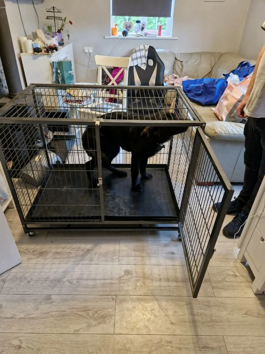 XL Dog Crate - Image 3