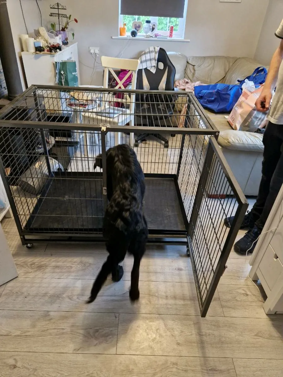 XL Dog Crate - Image 4