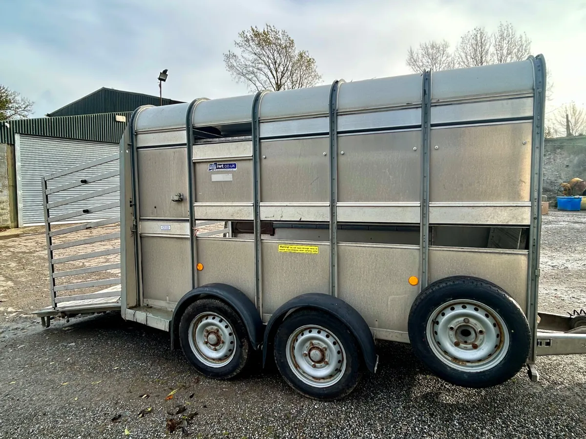 2021 Ifor Williams Ta5 10x5 With Sheep Decks - Image 1