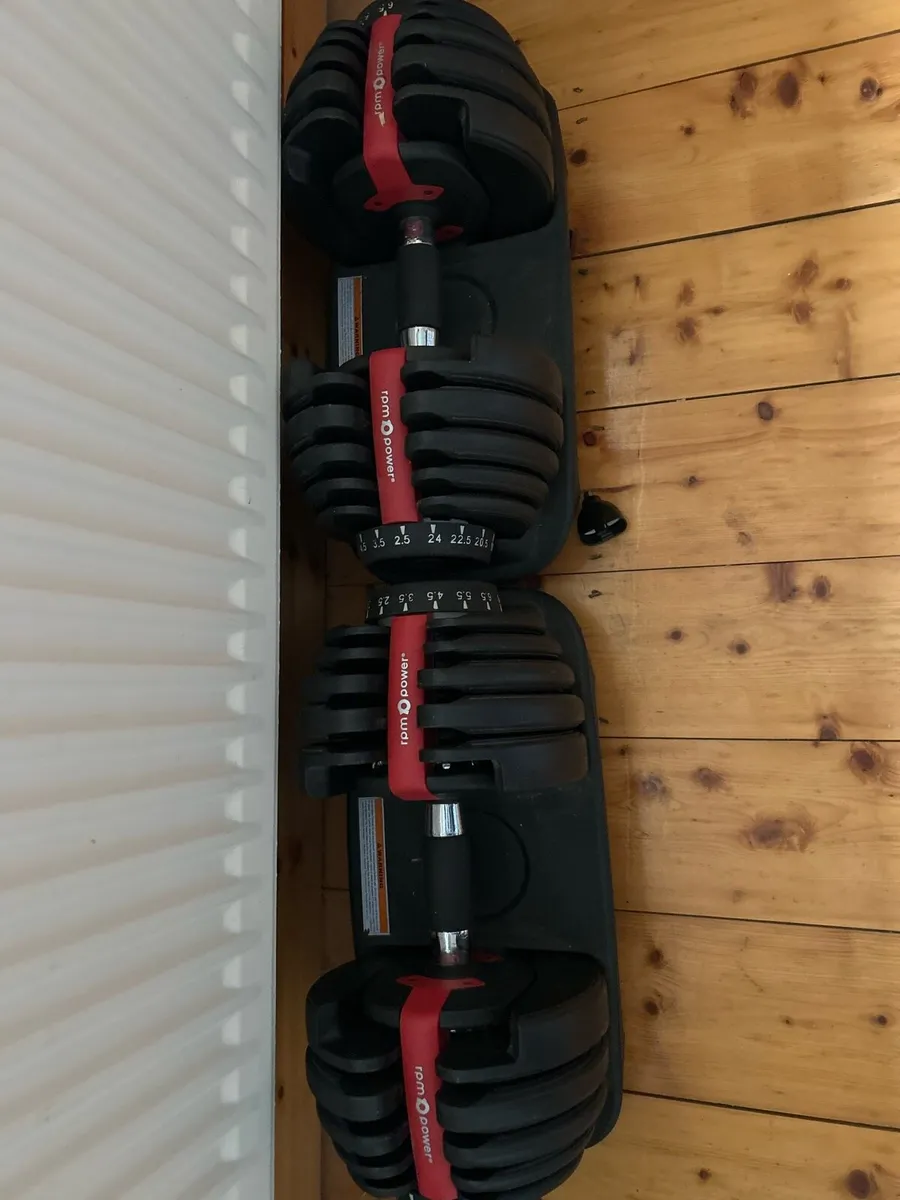 Weight bench and adjustable dumbbells - Image 2