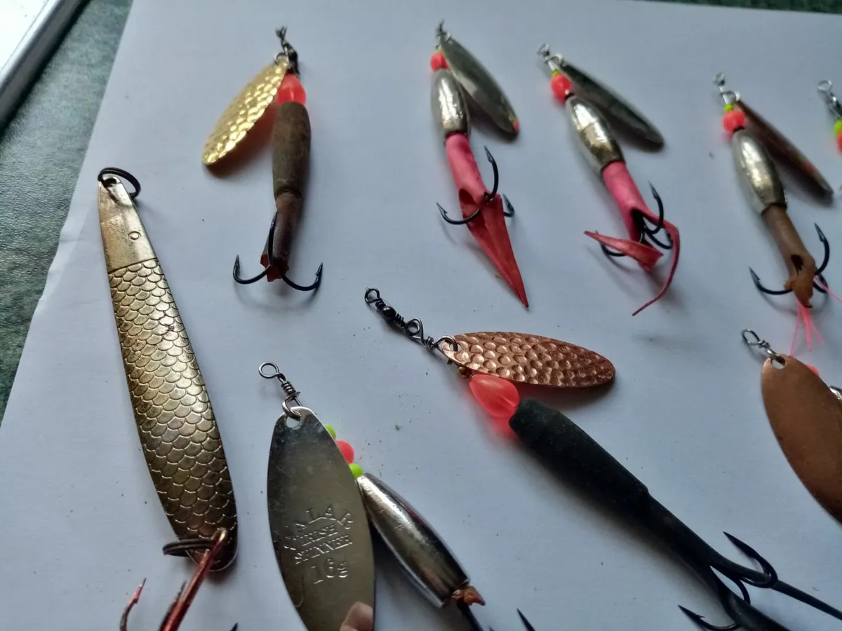 Atlantic salmon  fishing baits - Image 2