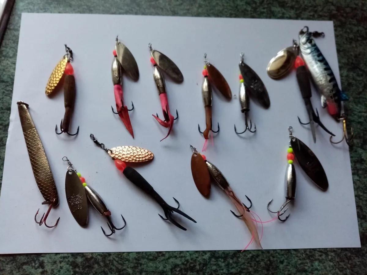 Atlantic salmon  fishing baits - Image 1
