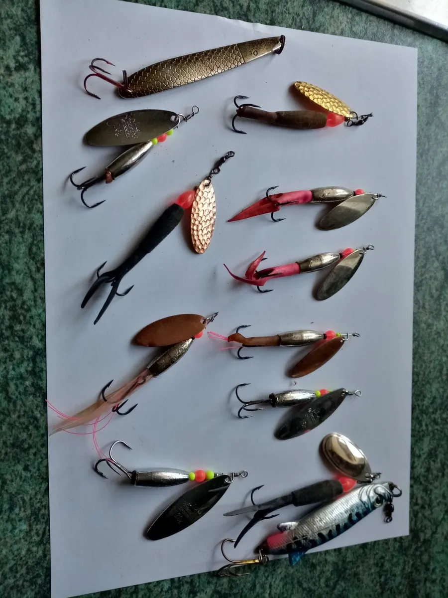 Atlantic salmon  fishing baits - Image 3