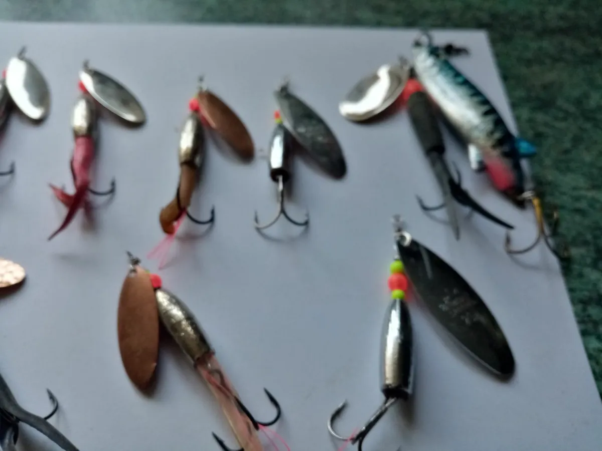 Atlantic salmon  fishing baits - Image 4